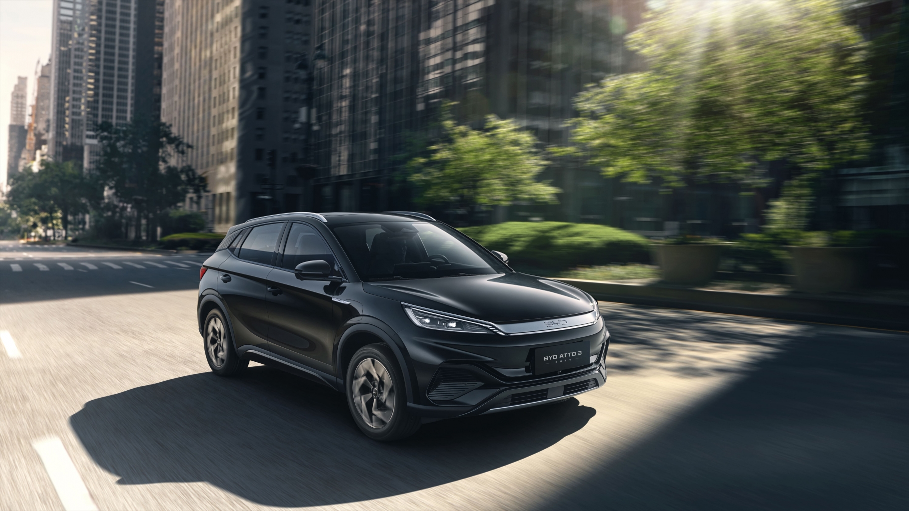 BYD Thái Bình | Đại Lý Ủy Quyền của BYD Việt Nam